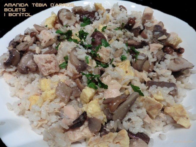 Arròs, bonítol i bolets