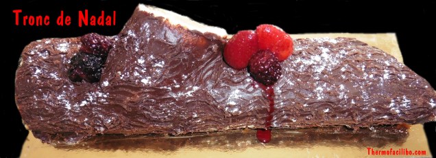 Tronc de nadal 1