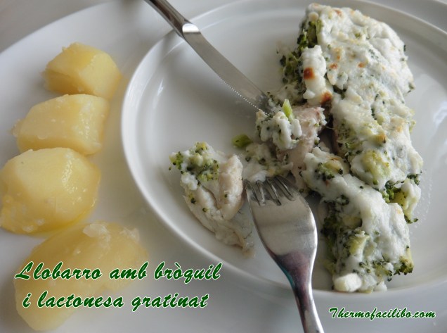 Llobarro amb bròquil i lactonesa gratinat 1