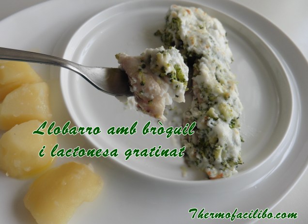 Llobarro amb bròquil i lactonesa gratinat
