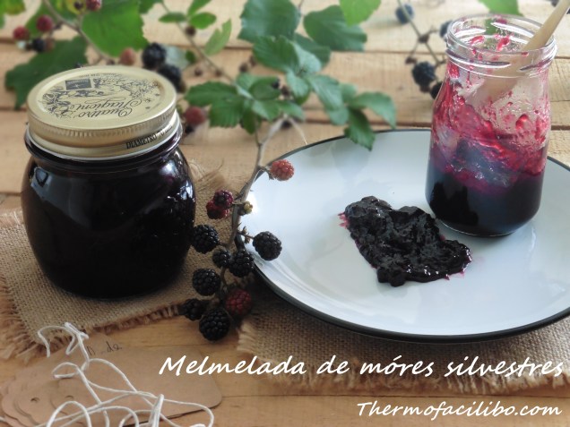 melmelada-de-mores-silvestres