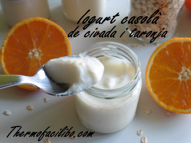 Iogurt casolà de civada i taronja.3