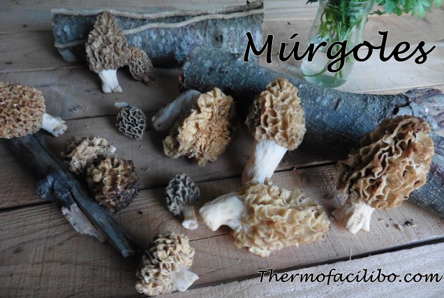 Truita de múrgoles acompanyada amb amanida i pa torrat amb tomàquet.1