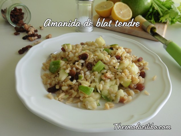 Amanida de blat tendre