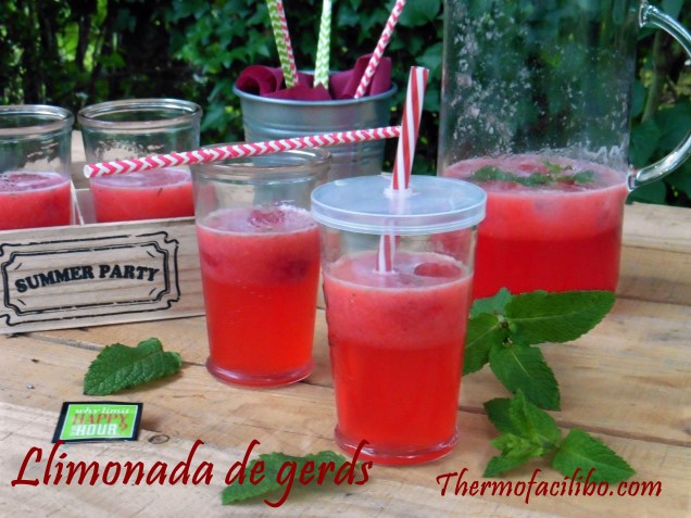 Llimonada de gerds
