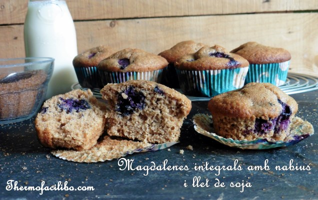 magdalenes integrals nabius i soja