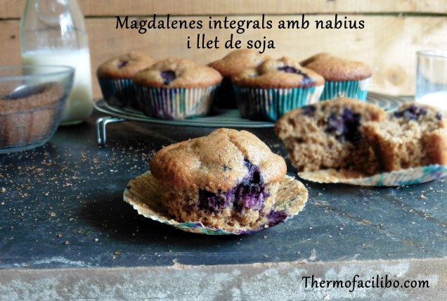 Magdalenes integrals amb nabius i soja