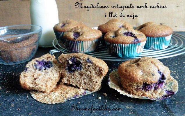 Magdalenes integrals amb nabius..