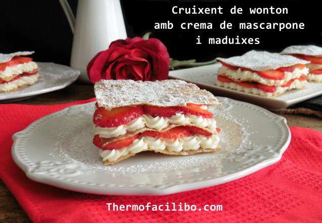 Cruixent de wonton.1