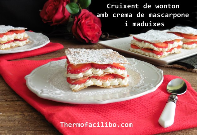 Cruixent de wonton.2