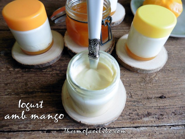 Iogurt amb mango (2)