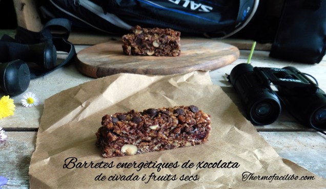 Barretes energètiques de xocolata, civada i fruits secs