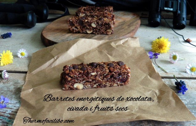 Barretes energètiques de xocolata,civada i fruits secs