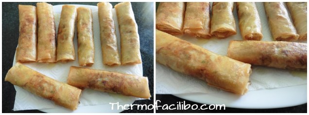 Rotllets de primavera prep.3