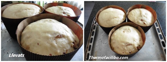 Panettone de marrons glacés i avellanes.9